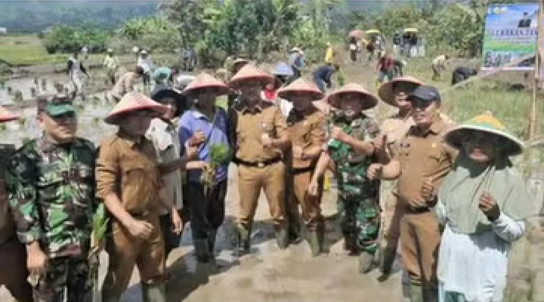 Wabup H.Murison Pimpin Gerakan Tanam Padi Serentak di Kabupaten Kerinci