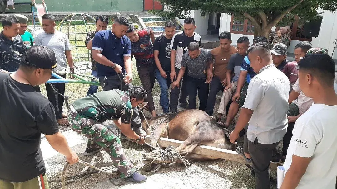 Dandim 0417/Kerinci Letkol Inf Eko Budiarto Laksanakan Ibadah Kurban di Makodim