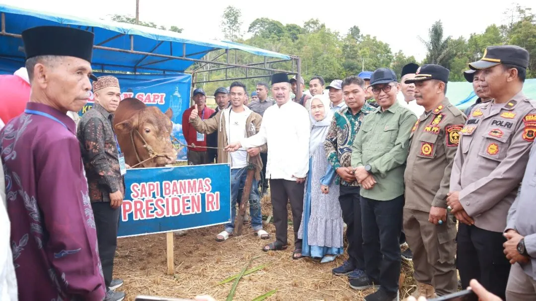 Bupati Monadi Serahkan Bantuan Sapi Kurban dari Presiden Prabowo Subianto di Desa Sungai Gelampeh, Pastikan Pembagian Tepat Sasaran