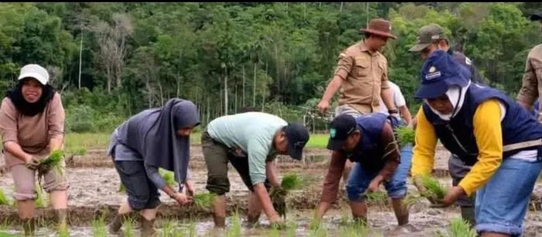 Dukung Swasembada Pangan Nasional, Bupati Monadi Tanam Padi Serentak