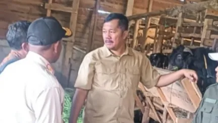 Bupati Monadi Canangkan Kawasan Sentral Peternakan Kambing PE di Batang Sangir