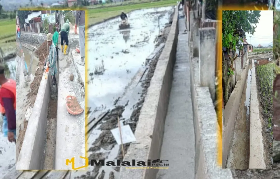 Petani di Kota Sungai Penuh Dukung dan Apresiasi Program P3- TGAI, Sawah Lebih Terairi dan Produktif