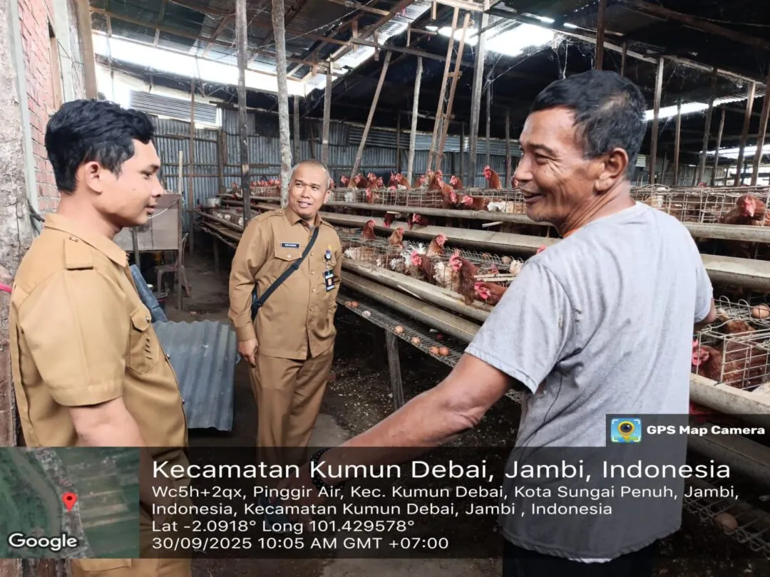 ​Dinas Peternakan Sungai Penuh Gelar Pendataan Ayam Petelur Serentak di Empat Kecamatan