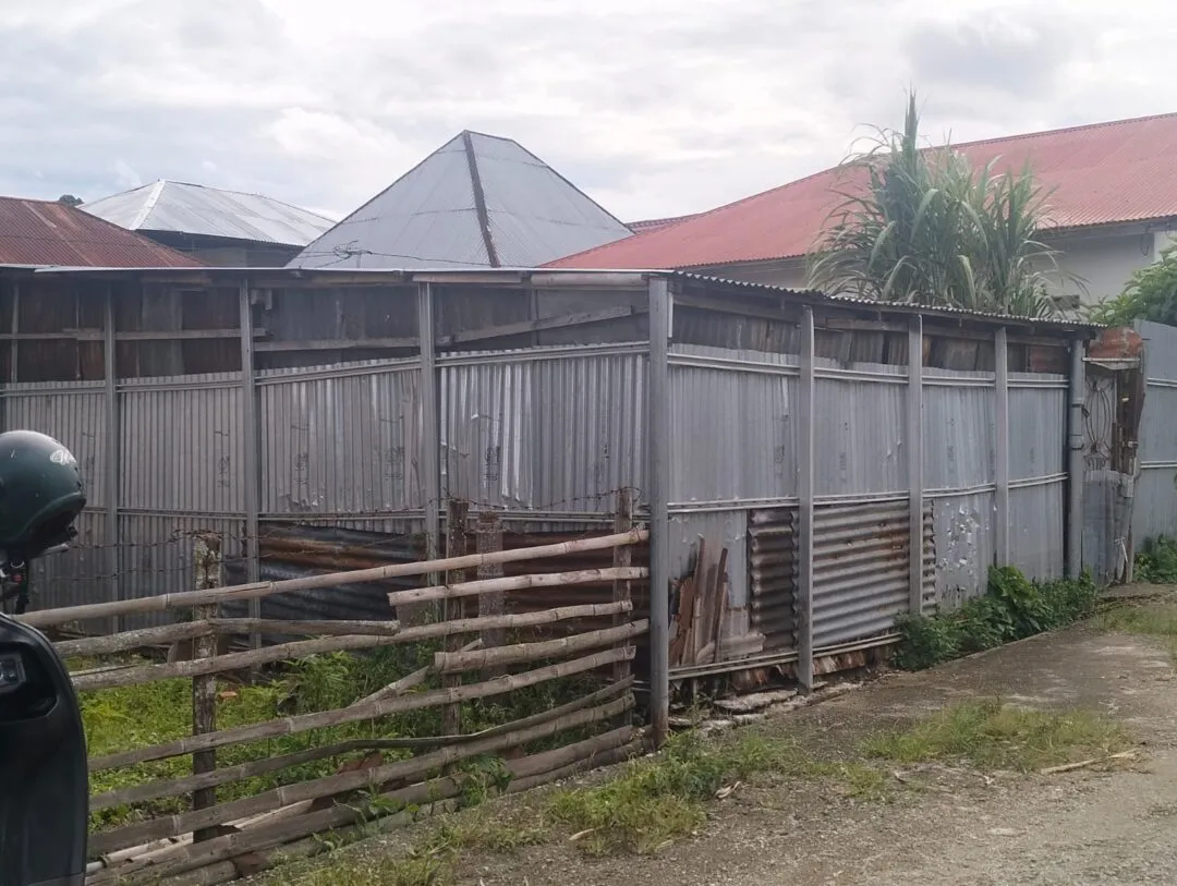 Warga Koto Tuo Ujung Pasir Keluhkan Kandang Sapi Dekat Pemukiman, Bau Busuk dan Limbah Cemari Lingkungan