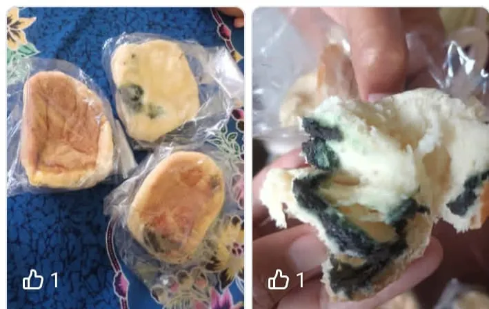 Viral di Medsos: Menu MBG Roti Berjamur di SD Kec Tanah Kampung.